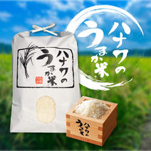 【令和6年産 新米予約】コシヒカリ（精米） 5kg 果物や野菜などのお取り寄せ宅配食材通販産地直送アウル