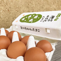 【設楽様専用1】益子うまれの赤たまご14パック 赤たまご10個入り14パック 果物や野菜などのお取り寄せ宅配食材通販産地直送アウル