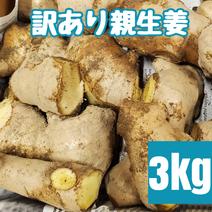 訳あり土付き親生姜 3kg 3kg 果物や野菜などのお取り寄せ宅配食材通販産地直送アウル