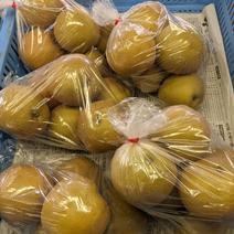 梨3Lサイズ25個入り 8kg 果物や野菜などのお取り寄せ宅配食材通販産地直送アウル