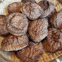 干し椎茸の産地直送商品一覧（通販・お取り寄せ）-産直アウル