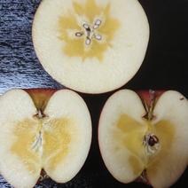 【限定品】青森県藤崎産　サンふじ5㌔ 5kg 果物や野菜などのお取り寄せ宅配食材通販産地直送アウル