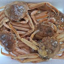 北海道産オオズワイガニ生冷凍１kg　味噌汁用 約１kg　（５～７尾）　 果物や野菜などのお取り寄せ宅配食材通販産地直送アウル