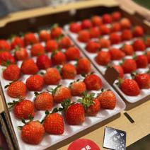 朝採れ当日発送！30玉4パック！夏秋いちご　青森県産　すずあかね　苺　夏いちご 30玉4パック 果物や野菜などのお取り寄せ宅配食材通販産地直送アウル