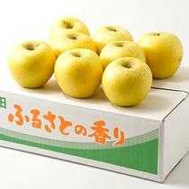 シナノゴールド3キロ8～10玉 シナノゴールド3キロ8～10玉 果物や野菜などのお取り寄せ宅配食材通販産地直送アウル