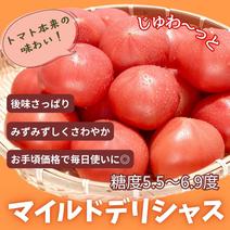 トマトの産地直送商品一覧（通販・お取り寄せ）-産直アウル