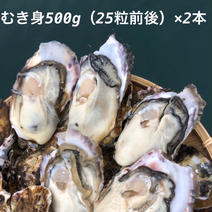 ＜限定価格＞　三陸産　プリプリ生牡蠣（むき身）生食可能500g×2本 産地直送 500g 2本（合計1kg） 果物や野菜などのお取り寄せ宅配食材通販産地直送アウル