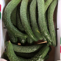 曲がり果2kg 2kg 果物や野菜などのお取り寄せ宅配食材通販産地直送アウル