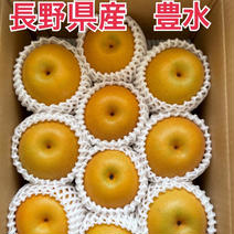 長野県産【豊水】 3.5〜4キロ 果物や野菜などのお取り寄せ宅配食材通販産地直送アウル
