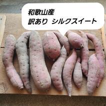 シルクスイート（野菜＞さつまいも）の産地直送商品一覧（通販・お