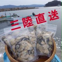 三陸直送！牡蠣剥き身加熱用5㎏ 5㎏ 果物や野菜などのお取り寄せ宅配食材通販産地直送アウル