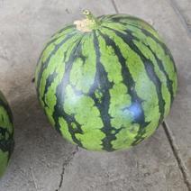 訳ありスイカ スイカ2玉 果物や野菜などのお取り寄せ宅配食材通販産地直送アウル