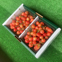 佐藤錦ジャム用1kg 1kg 果物や野菜などのお取り寄せ宅配食材通販産地直送アウル