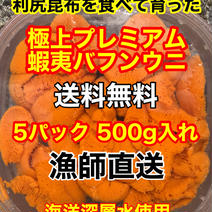 （送料無料）極上プレミアム蝦夷バフンウニ（北海道利尻島産）5パック 500g入れ 5パック 500g入れ 果物や野菜などのお取り寄せ宅配食材通販産地直送アウル