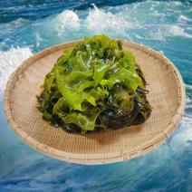 【匿名配送】　海藻　いろいろ　セット　宅急便 海藻の産地直送食材一覧（通販・お取り寄せ）-産直アウル