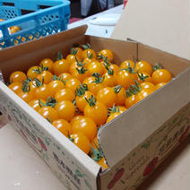 黄色いミニトマト6箱 6kg 果物や野菜などのお取り寄せ宅配食材通販産地直送アウル