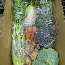 残りわずか！【天恵受けた野菜たち】あっぱれ天恵のあっぱれ野菜たち！ キャベツ(1~2玉),ブロッコリー(2本),セロリ(1株),サニーレタス(1玉)は必ず入ります！さらにミニダイコン,にんじん,じゃがいもなどの季節の野菜が加わる事があります！ 果物や野菜などのお取り寄せ宅配食材通販産地直送アウル
