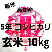 令和5年産 高知県産 新米コシヒカリ 玄米10㎏(袋込み) １０㎏ 果物や野菜などのお取り寄せ宅配食材通販産地直送アウル