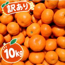 訳あり食材・商品 ｜ 【産直アウル】生産者の応援にも繋がる新鮮食材の