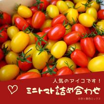 トマトの産地直送商品一覧（通販・お取り寄せ）-産直アウル