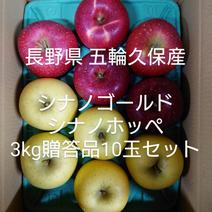 長野県 五輪久保産 シナノゴールド×シナノホッペ 3kg贈答品10玉セット 3kg 果物や野菜などのお取り寄せ宅配食材通販産地直送アウル