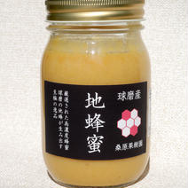 【熊本県産】地蜂蜜　非加熱・無添加高濃度日本みつばち蜂蜜500g 500g 果物や野菜などのお取り寄せ宅配食材通販産地直送アウル