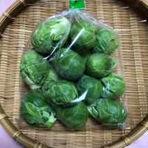 【冬季限定】芽キャベツ 1kg(60個前後) 果物や野菜などのお取り寄せ宅配食材通販産地直送アウル