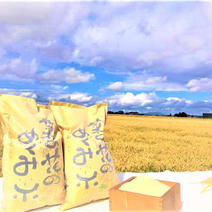 新米/生産者限定/北海道産菜の花めぐみ米5kg 5kg 果物や野菜などのお取り寄せ宅配食材通販産地直送アウル