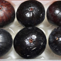 イチジク　ベストセレクション 3パック  18個 果物や野菜などのお取り寄せ宅配食材通販産地直送アウル