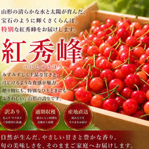 アルさん専用、箱込み10キロ、訳あり 訳あり食材・商品 ｜ 【産直アウル】生産者の応援にも繋がる新鮮食材の