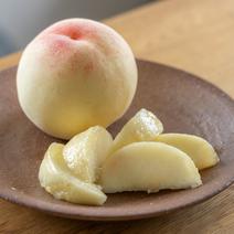 おかやまの白桃✾早生✾家庭用小箱 5玉前後 果物や野菜などのお取り寄せ宅配食材通販産地直送アウル