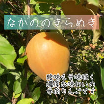 なかののきらめき5kg詰め合わせ なかののきらめき5kg 果物や野菜などのお取り寄せ宅配食材通販産地直送アウル