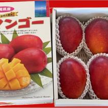 【お中元】マンゴーの王道！『アーウィン』2.0kg秀品 2.0kg 果物や野菜などのお取り寄せ宅配食材通販産地直送アウル