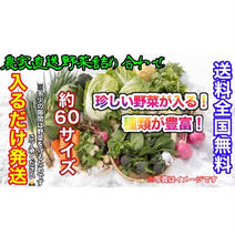 おまかせ冬野菜詰め合わせ約60サイズ入るだけ発送 約60サイズダンボール入るだけ発送 ["越谷市", "産地詳細"] 通販