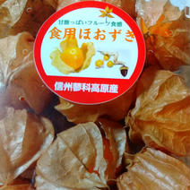 信州蓼科高原産 食用ほおずき『ゴールデンベリー』6P 1kg 果物や野菜などのお取り寄せ宅配食材通販産地直送アウル