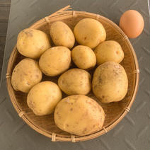 無農薬じゃがいも【キタアカリ】SSサイズ：10kg 10kg（箱込み） 果物や野菜などのお取り寄せ宅配食材通販産地直送アウル