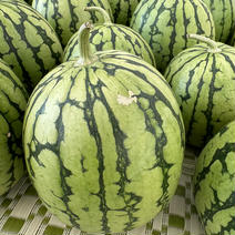 【タネの小さいスイカ🍉】 ピノガール　訳あり品 4〜5玉（約10㎏） 果物や野菜などのお取り寄せ宅配食材通販産地直送アウル