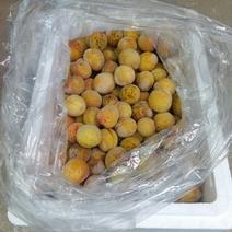 青梅の産地直送食材一覧（通販・お取り寄せ）-産直アウル
