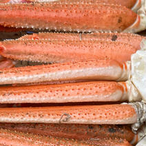 【5周年限定】北海道産訳ありズワイカニの足だけ1キロ 1Kg 果物や野菜などのお取り寄せ宅配食材通販産地直送アウル
