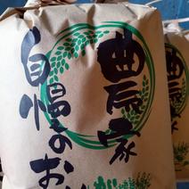 2025年新米コシヒカリ真空パック5kg コシヒカリ5kg 果物や野菜などのお取り寄せ宅配食材通販産地直送アウル