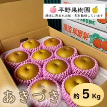 清流球磨梨・あきづき　5kg箱(5〜14個入り) 約5kg 果物や野菜などのお取り寄せ宅配食材通販産地直送アウル