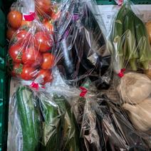 【旬の野菜】数量限定セット 信州の旬を食べる野菜箱 玉ねぎ.にんにく.じゃがいも.ナス.きゅうり 果物や野菜などのお取り寄せ宅配食材通販産地直送アウル