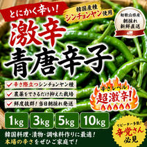 青唐辛子の産地直送食材一覧（通販・お取り寄せ）-産直アウル