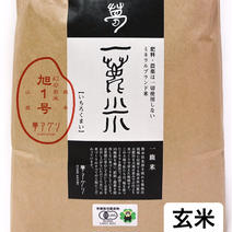 JAS認証米の旭1号玄米5キロ 5キロ 果物や野菜などのお取り寄せ宅配食材通販産地直送アウル