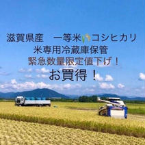 残りわずか！これはお買い得☆令和2年滋賀県産コシヒカリ玄米約25kgリサイクル箱 コシヒカリ玄米箱込み25kg 果物や野菜などのお取り寄せ宅配食材通販産地直送アウル