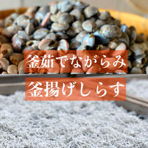 看板商品セット★釜揚げしらすと釜茹でながらみ★☆★ながらみ2KG.釜揚げしらす1KG ながらみ2KG.釜揚げしらす1KG 果物や野菜などのお取り寄せ宅配食材通販産地直送アウル