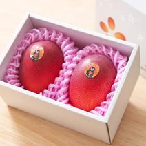 華マンゴー  ２Ｌサイズ２玉 化粧箱 350～449g×２玉 果物や野菜などのお取り寄せ宅配食材通販産地直送アウル