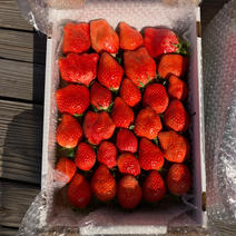 5月10日以降発送でお得‼️完熟やよいひめ10%増量中身おまかせ1.1kg×2箱 2.2kg(箱緩衝材含む) 果物や野菜などのお取り寄せ宅配食材通販産地直送アウル