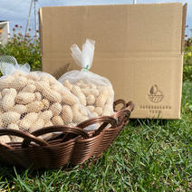 10月発送　茹で用生落花生　北海道十勝産（郷の香）1kg 1kg 果物や野菜などのお取り寄せ宅配食材通販産地直送アウル