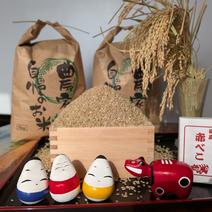 コシヒカリ(玄米)の産地直送食材一覧（通販・お取り寄せ）-産直アウル